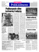 Dz. Podkarpacki