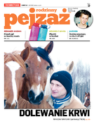 Pejzaż rodzinny
