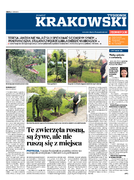 DP Tygodnik Powiat krakowski
