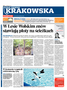 Kronika krakowska