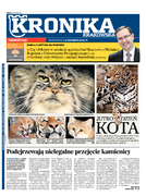 Kronika krakowska