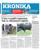 Kronika Małopolska