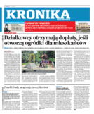 Kronika krakowska
