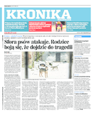 Kronika Małopolska