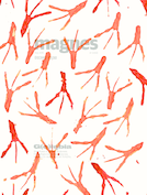 Magnes+