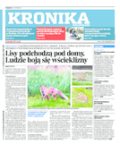 Kronika Małopolska