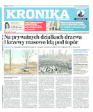 Kronika krakowska