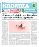 Kronika krakowska