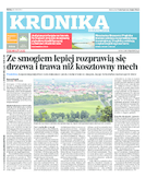 Kronika krakowska
