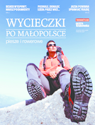 dodatek heatsetowy 1