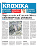 Kronika Małopolska