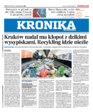 Kronika krakowska