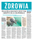 Zdrowie