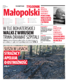 Kronika Małopolska