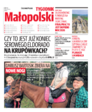 Kronika Małopolska