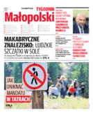 Kronika Małopolska
