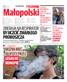 Kronika Małopolska