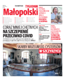 Kronika Małopolska