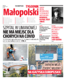 Kronika Małopolska
