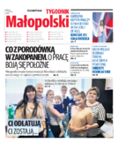 Kronika Małopolska