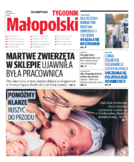 Kronika Małopolska