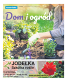 Koszalin