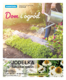 Koszalin