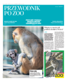 dodatek specjalny do grzbietu głównego
