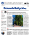 Dziennik Bałtycki