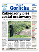 Tyg. Gazeta Gorlicka