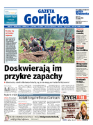 Tyg. Gazeta Gorlicka