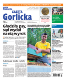 Tyg. Gazeta Gorlicka