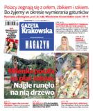 Gazeta Krakowska / mut Kraków