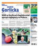 Tyg. Gazeta Gorlicka