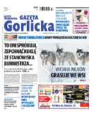 Tyg. Gazeta Gorlicka