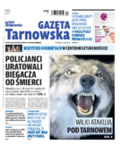 Tyg. Gazeta Tarnowska