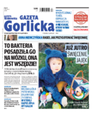 Tyg. Gazeta Gorlicka