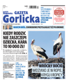 Tyg. Gazeta Gorlicka