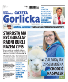 Tyg. Gazeta Gorlicka