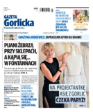 Tyg. Gazeta Gorlicka