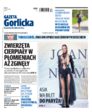 Tyg. Gazeta Gorlicka