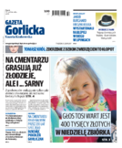 Tyg. Gazeta Gorlicka