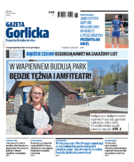 Tyg. Gazeta Gorlicka