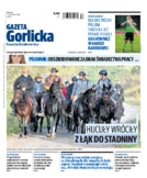 Tyg. Gazeta Gorlicka