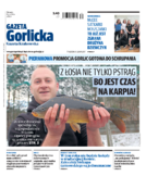 Tyg. Gazeta Gorlicka