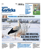 Tyg. Gazeta Gorlicka