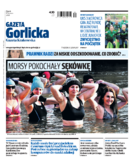 Tyg. Gazeta Gorlicka