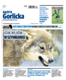 Tyg. Gazeta Gorlicka