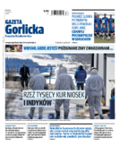 Tyg. Gazeta Gorlicka