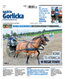 Tyg. Gazeta Gorlicka